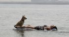 Here comes La Nina, El Nino's flip side, but it will be weak | CTV News