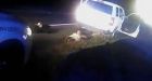 Hero dad stops attempted kidnapping of daughter