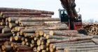 Canada to seek NAFTA dispute resolution panel on U.S. softwood lumber duties