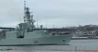 Halifax navy battles wood-eating organism