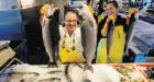 Cold weather could be good news for salmon lovers