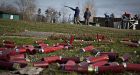 Quebec ruling allows demise of remaining long gun records