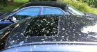 Another Mississauga home 'bombed' by sky poo