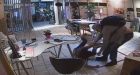 Vancouver tattoo parlour attack caught on camera, suspect released