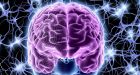 Human brain may be designed to give us hallucinations, scientists say